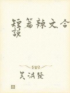 短篇辣文合集小说封面