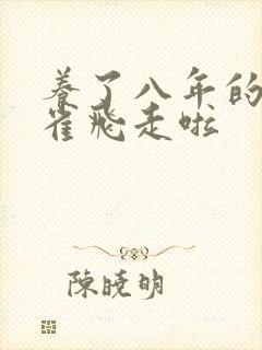 养了八年的金丝雀飞走啦封面