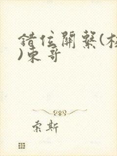 错位关系(校园)东哥封面