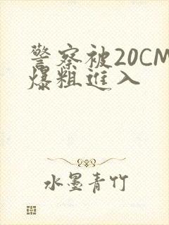 警察被20CM爆粗进入