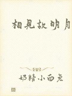 相见故明月封面