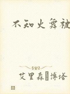 不知火舞被辱记封面