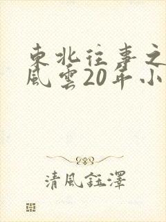 东北往事之黑道风云20年小说