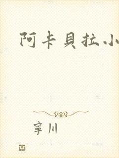 阿卡贝拉小说封面