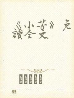 《小芳》免费阅读全文