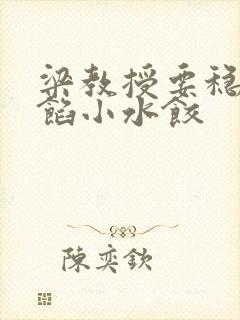 梁教授要稳住肉馅小水饺封面