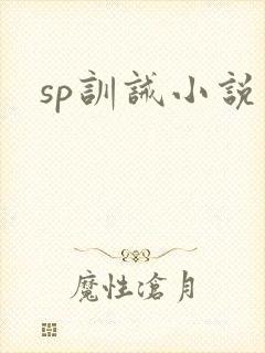 sp训诫小说封面