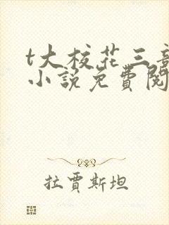 t大校花三部曲小说免费阅读全文