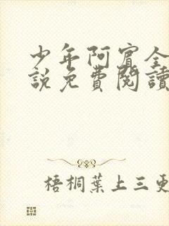 少年阿宾全文小说免费阅读笔趣阁