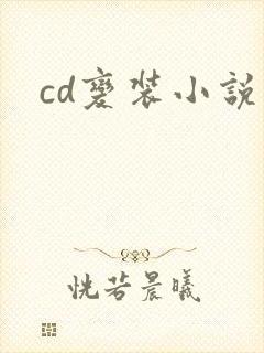 cd变装小说