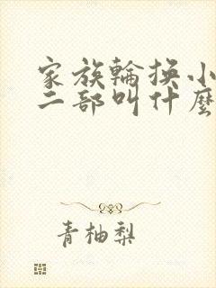 家族轮换小说第二部叫什么名字封面