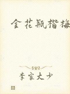 金花瓶楷梅花2封面