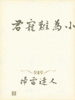 君宠难为小说封面