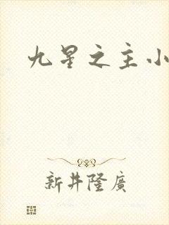 九星之主小说
