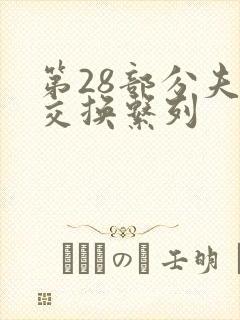 第28部分夫妇交换系列