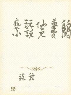 亵玩仙尊的道侣小说免费阅读