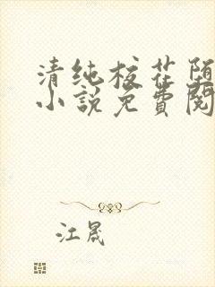 清纯校花堕落记小说免费阅读封面