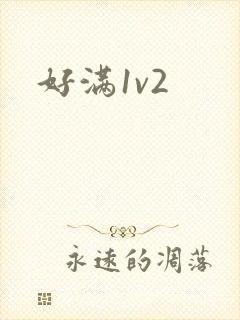 好满1v2