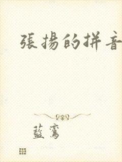 张扬的拼音封面