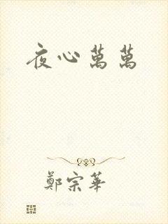 夜心万万封面