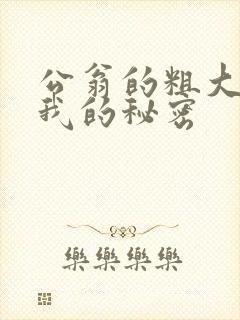 公翁的粗大放进我的秘密