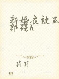 新婚夜被五个伴郎强h