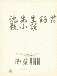 沈先生的花式调教小说