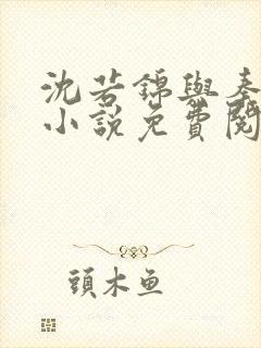 沈若锦与秦琅的小说免费阅读