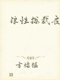 狼性总裁夜欢宠