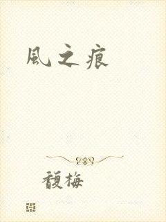 风之痕封面