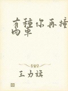 有种你再撞一下肉车