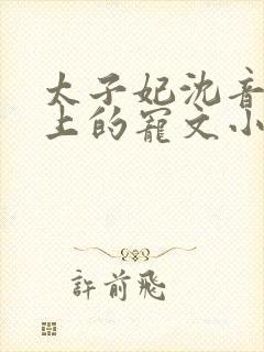 太子妃沈音和皇上的宠文小说封面