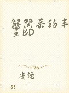 解开岳的丰满奶罩BD封面