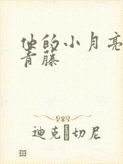 他的小月亮by青藤