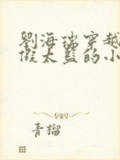 刘海瑞穿越后宫假太监的小说