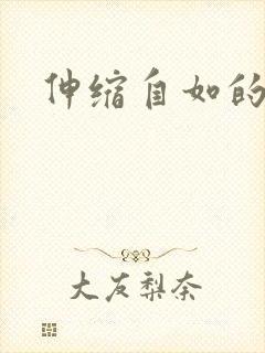 伸缩自如的爱封面