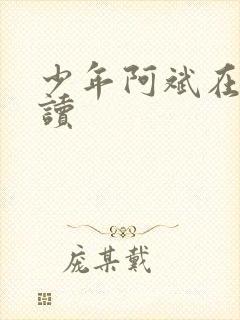 少年阿斌在线阅读