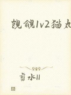 觊觎1v2猫丸封面
