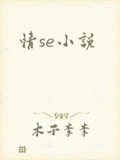 情se小说