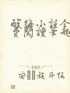 酸梅小说全文免费阅读笔趣阁