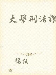 大学刑法课封面