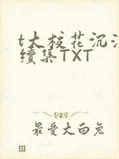 t大校花沉浮录续集TXT封面