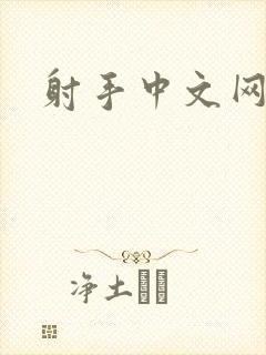 射手中文网封面