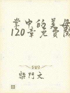 掌中的美母版主120章免费阅读封面