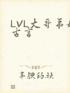 LVL大哥弟媳古言