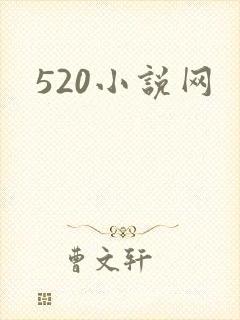 520小说网封面