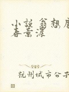 小说 翁想房中春意浓