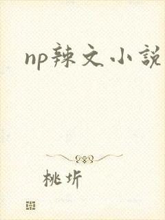np辣文小说封面