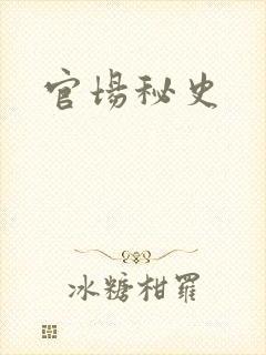官场秘史