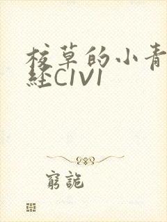 校草的小青梅不经C1V1